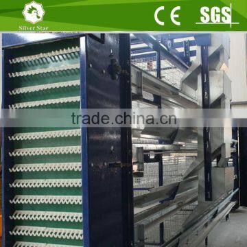 H form galvanized fully automatic chicken cages for layers