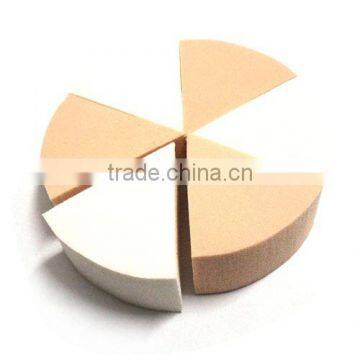 latex sponge, sponge applicator, flabellate sponge