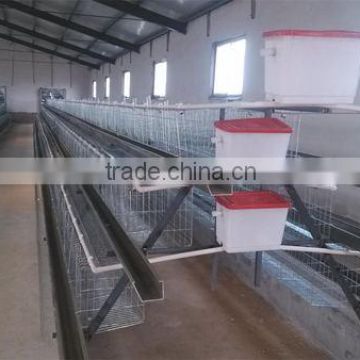 layer poultry farms chicken cage eggs in india