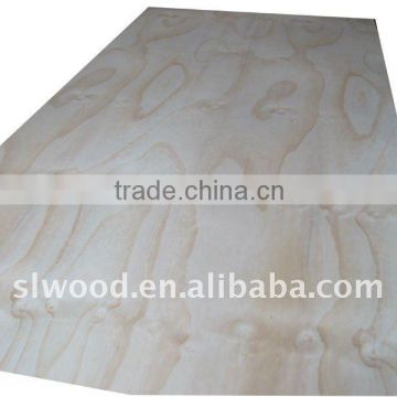 Radiata pine plywood