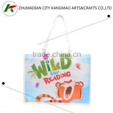 Customized Design Paper Bag for Shopping Promotion