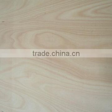 High Quality plywood film faced for INDIA