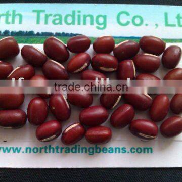 EU,NOP,JAS Certified Organic Adzuki Bean ( Heilongjiang origin,2010 crop,hps)