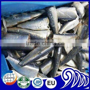 Wholesale HGT Sardine Fish