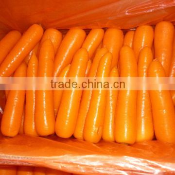 9.5kg of Red Carrot to Vietnam Market