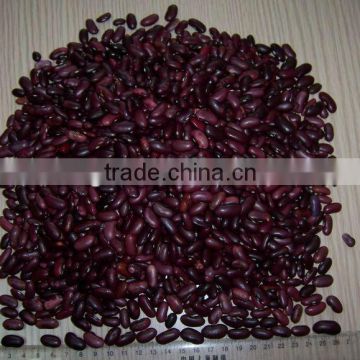 Dark Red Kidney Bean-2013 new crop