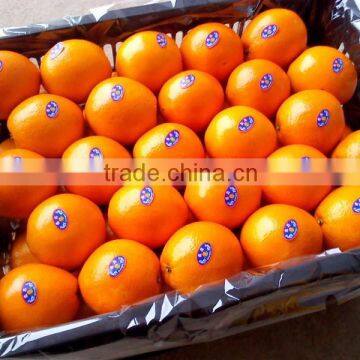 Navel Orange Fruit Cheap Price photo-2