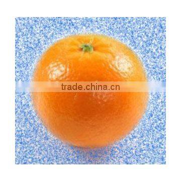 Fresh Citrus Fruit Mandarin Kinnow