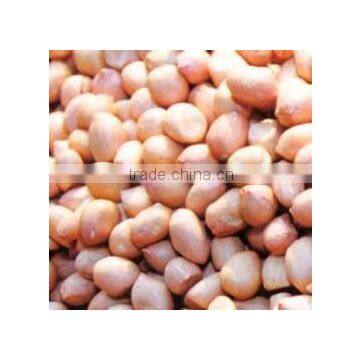 JAVA GROUNDNUT KERNEL 50/60