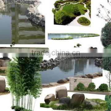 Natural plants type Graden landscape