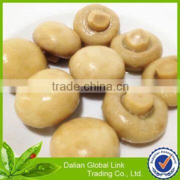 Mushroom in Tin photo-2