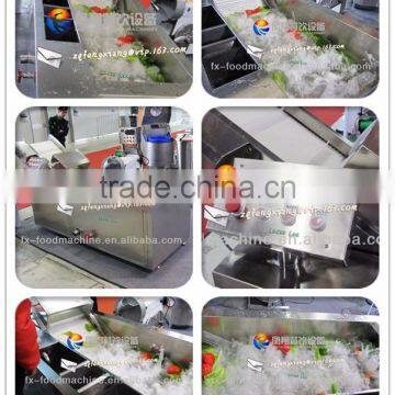 WA-1000 Automatic Washer Type and New Condition Vegetable Seafood Fruits Bubble Processing Cleaning Machine photo-4