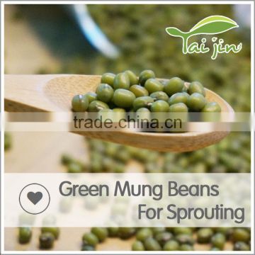 Organic high Quality green mung bean sprout,grade A green mung bean price