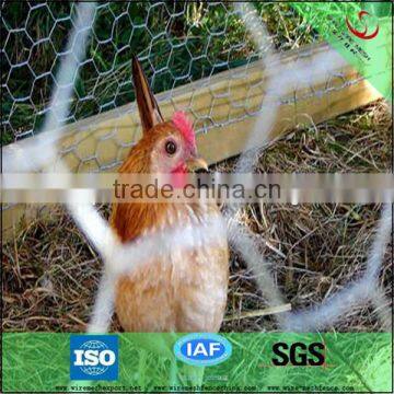 High quality chicken coope hexagonal wire mesh