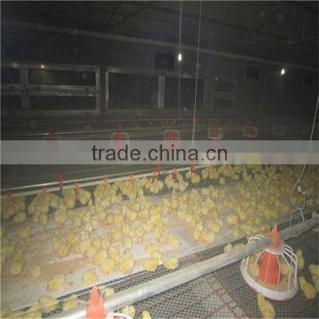 Chicken Automatic Drinker photo-3