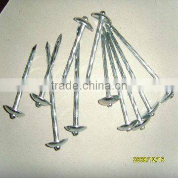 galvanized roofing nails with umbrella head factory( factory price )