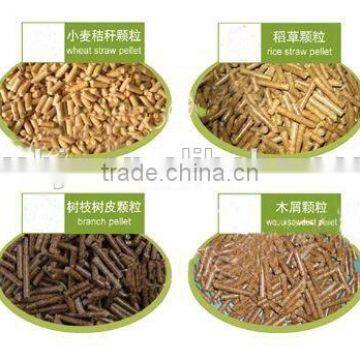 New Products Flat Die Wood Pellet Machine for Sale photo-6