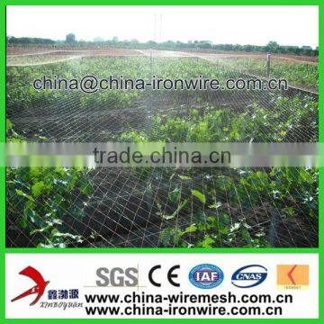 Agriculture Anti Bird Net