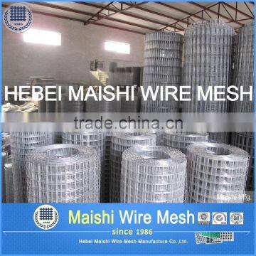 M S Welded Mesh photo-2