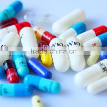 Model MAI Fully Automatic Capsule and Tablet Printing Machine photo-2