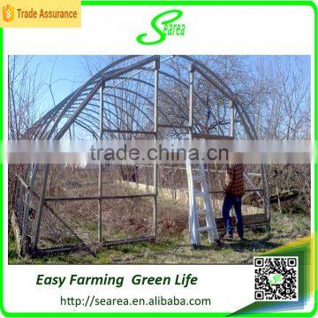 Single Span Greenhouse for Vegetable Fruits Agricultural Greenhouses photo-3