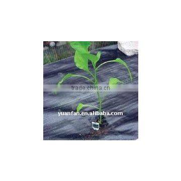 anti-uv weed fabric PP spunbonded non woven fabric