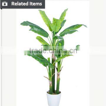 Artificial Decorative Banana Tree Ficus Tree Branch Live Bonsai Tree for Home and Office Decoration photo-6