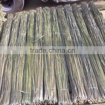 Natural bamboo poles for agriculture with green