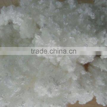 Virgin Hollow Conjugate Fibres photo-5