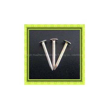 Umbrella Head Roofing Nails photo-3