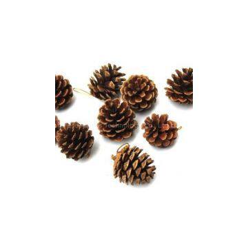 M43 4cm pine cones / deal apple for Christmas Trees ornament