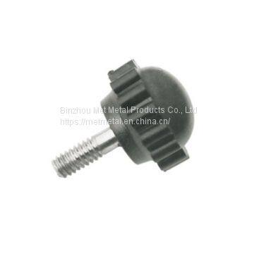 Stainless Steel Black Nylon Head Screw