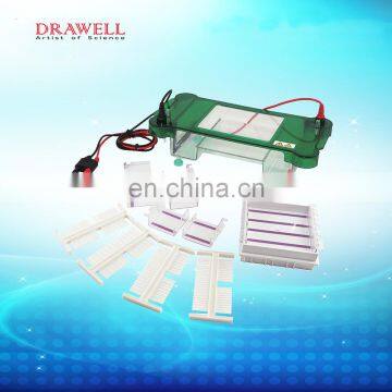 SPCT Universal Lab And Medical Horizontal Electrophoresis Machine photo-4