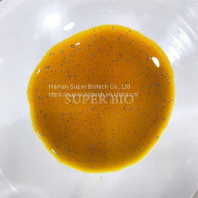 Frying Foods Antioxidant Rosemary Extract-Innovative Antioxidants Rosemary Antioxidant for Seasoning photo-3