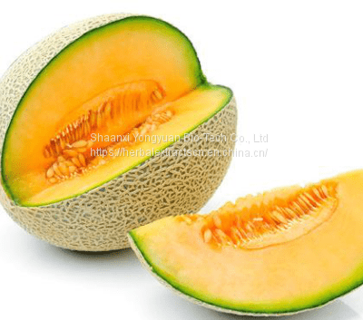 Hami melon extract , Melon Extract, Cantaloupe Extract powder, Cucumis melo friut powder