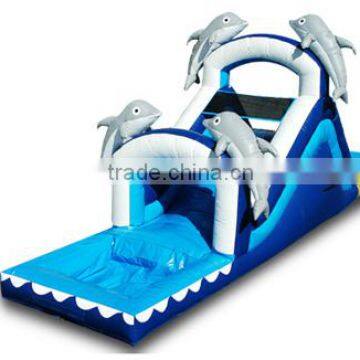 Giant Inflatable Water Slide With Pool Toys/games for Kids photo-4