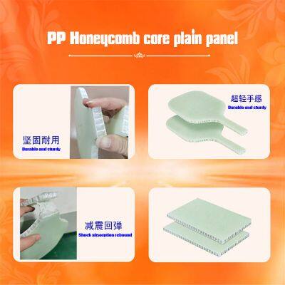 Amazon's Hot Sales Pickleball photo-2