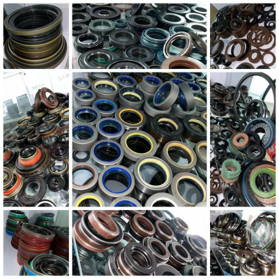 High Quality China Oil Seal Factory Supplier Auto Oil Seal Agricultural Machine TC/TB/TCV/TCN