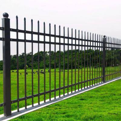 Panneau de clôture extérieur en fer pour la sécurité du jardin et de la maison avec un design ornemental en acier
