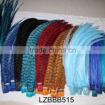 Dyed colors Long Pheasant tail feathers LZBBB515