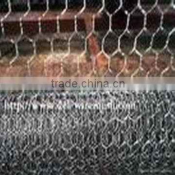 Galvanized steel Wire Mesh