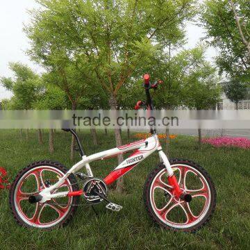 20" free white style bicycle new model