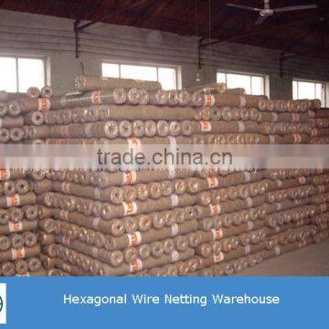 Cheap Price High Quality Fence Mesh Chicken Wire Mesh photo-2