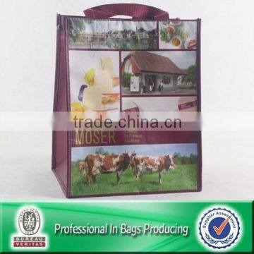 Wipe-clean RPET biodegradable disposable bags