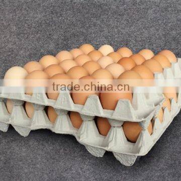 Recycle Paper Pulp 30 Eggs Egg Tray Carton