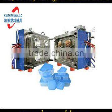 Convenient Plastic Insulated Lunch Box Molds