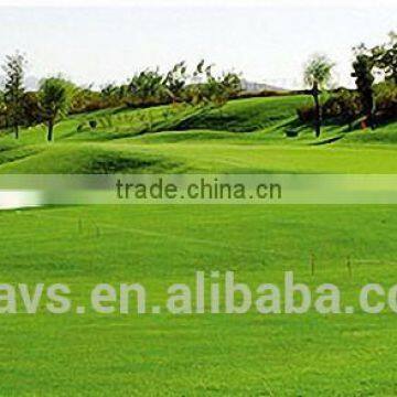 AVG SGS CE Fashionable Golf Artificial Grass