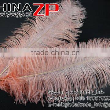 ZPDECOR Trade Assurance Leading Supplier Wholesale Size From 50-55cm Cheap Dyed Champagne Ostrich Feather photo-6