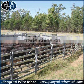 Professional Supplier of Cattle Panel photo-5