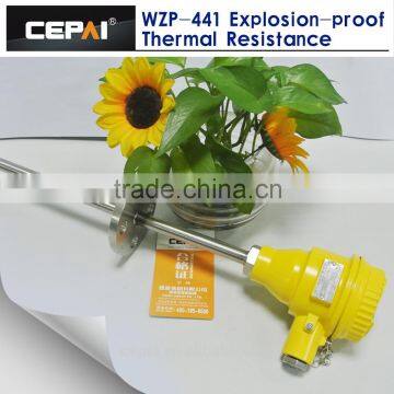 WZP-240 Explosion-proof Type RTD photo-2
